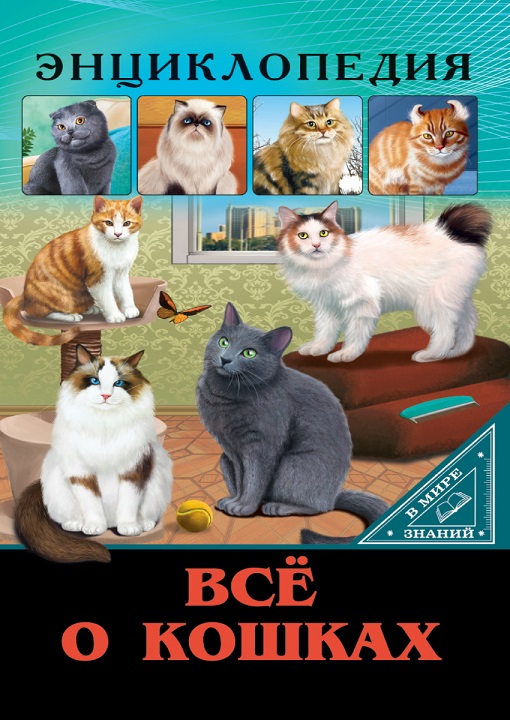 энциклопедия о кошках, котятах и котах, интересно, захватывающе, познавательно